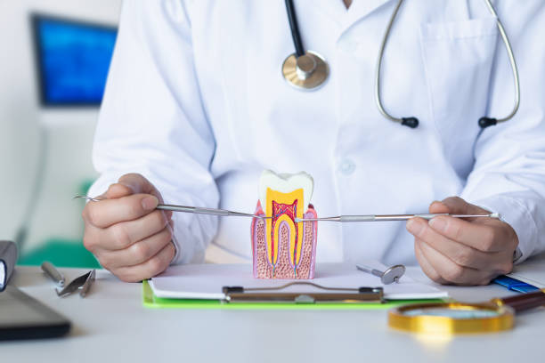 Best Emergency Orthodontic Repairs in Appomattox, VA